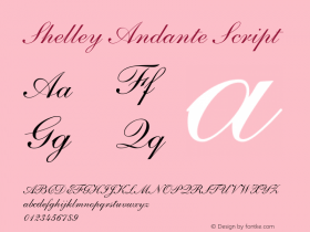 Shelley Andante Script 001.002图片样张