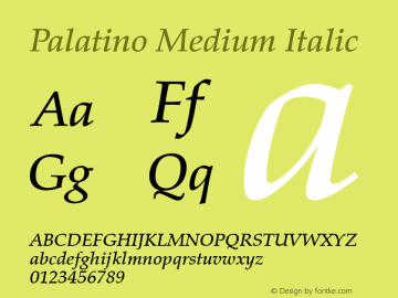Palatino Medium Italic 001.000图片样张