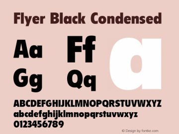 Flyer Black Condensed 001.000图片样张