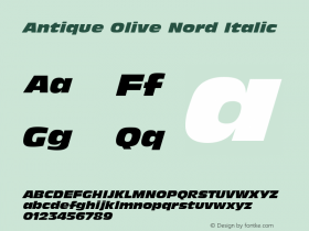 Antique Olive Nord Italic 001.002n图片样张