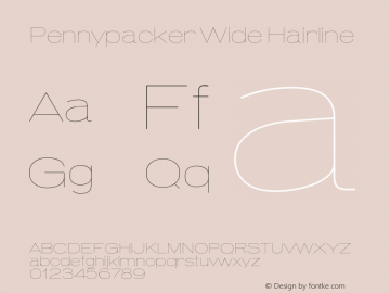 Pennypacker Wide Hairline Version 1.002 | web-ttf图片样张