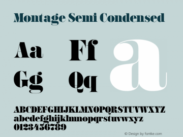 Montage Semi Condensed Version 1.001; XYZ Type Webfont图片样张