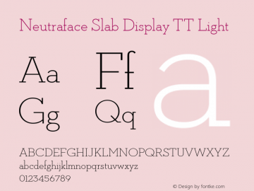 NeutrafaceSlabDisplayTT-Light Version 001.000 2009图片样张