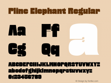 Plinc Elephant Version 1.100;hotconv 1.0.112;makeotfexe 2.5.65598图片样张
