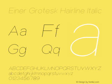 Einer Grotesk Hairline Italic Version 1.000;hotconv 1.0.109;makeotfexe 2.5.65596图片样张