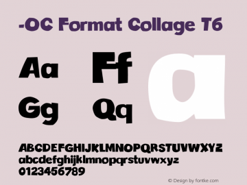 -OC Format Collage T6 Version 1.100;PS 001.100;hotconv 1.0.88;makeotf.lib2.5.64775图片样张