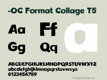 -OC Format Collage T5 Version 1.100;PS 001.100;hotconv 1.0.88;makeotf.lib2.5.64775图片样张