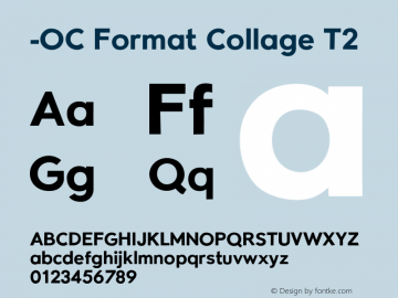 -OC Format Collage T2 Version 1.100;PS 001.100;hotconv 1.0.88;makeotf.lib2.5.64775图片样张