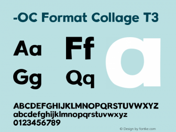 -OC Format Collage T3 Version 1.100;PS 001.100;hotconv 1.0.88;makeotf.lib2.5.64775图片样张