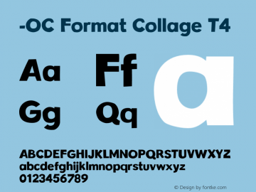 -OC Format Collage T4 Version 1.100;PS 001.100;hotconv 1.0.88;makeotf.lib2.5.64775图片样张
