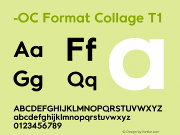 -OC Format Collage T1 Version 1.100;PS 001.100;hotconv 1.0.88;makeotf.lib2.5.64775图片样张
