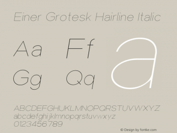 Einer Grotesk Hairline Italic Version 1.000图片样张