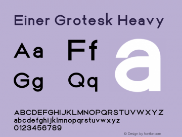 Einer Grotesk Heavy Version 1.000图片样张