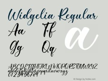 Widgelia Version 1.00;November 15, 2021;FontCreator 12.0.0.2567 64-bit图片样张