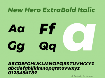 New Hero ExtraBold Italic Version 2.002;hotconv 1.0.109;makeotfexe 2.5.65596图片样张