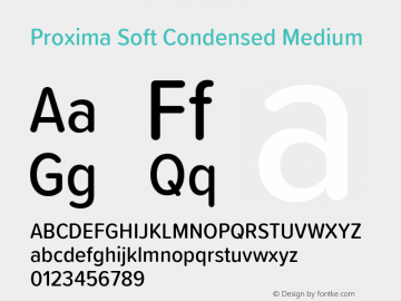 Proxima Soft Cond Medium Version 1.005图片样张