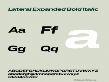 Lateral Expanded Bold Italic Version 1.001;FEAKit 1.0图片样张