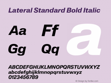 Lateral Standard Bold Italic Version 1.001;FEAKit 1.0图片样张
