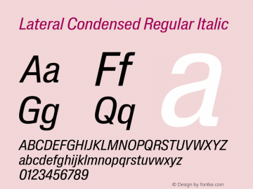 Lateral Condensed Regular Italic Version 1.001;FEAKit 1.0图片样张
