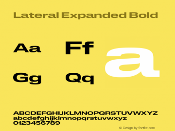 Lateral Expanded Bold Version 1.001;FEAKit 1.0图片样张