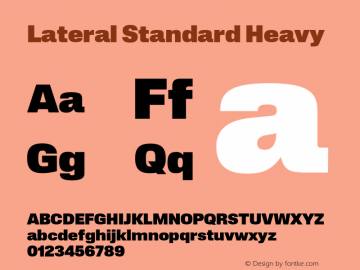Lateral Standard Heavy Version 1.001;FEAKit 1.0图片样张