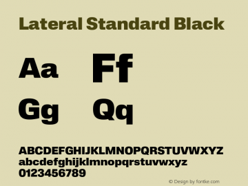 Lateral Standard Black Version 1.001;FEAKit 1.0图片样张