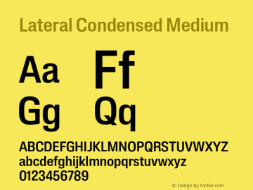 Lateral Condensed Medium Version 1.001;FEAKit 1.0图片样张