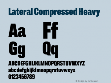 Lateral Compressed Heavy Version 1.001;FEAKit 1.0图片样张
