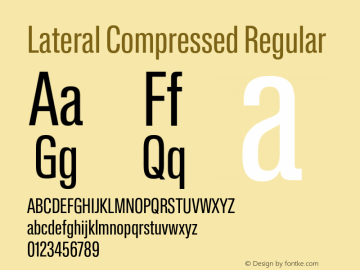 Lateral Compressed Regular Version 1.001;FEAKit 1.0图片样张