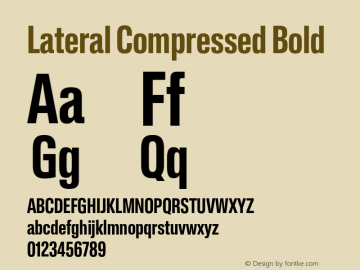 Lateral Compressed Bold Version 1.001;FEAKit 1.0图片样张