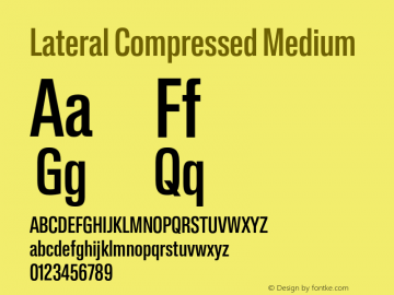 Lateral Compressed Medium Version 1.001;FEAKit 1.0图片样张