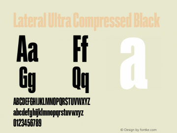 Lateral Ultra Compressed Black Version 1.001;FEAKit 1.0图片样张