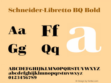 Schneider-Libretto Bold 001.000 OT图片样张