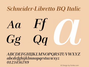 Schneider-Libretto Italic 001.000 OT图片样张