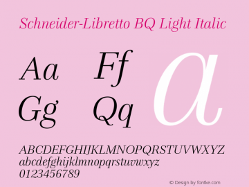 Schneider-Libretto Light Italic 001.000 OT图片样张