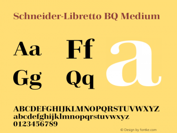 Schneider-Libretto Medium 001.000 OT图片样张