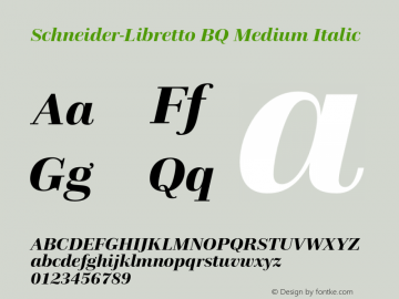 Schneider-Libretto Medium Italic 001.000 OT图片样张