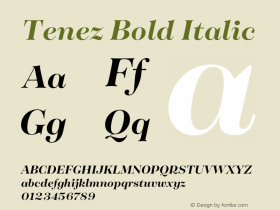 Tenez Bold Italic Version 2.000;PS 002.000;hotconv 1.0.88;makeotf.lib2.5.64775图片样张