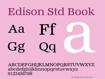 EdisonStd-Book Version 1.00图片样张