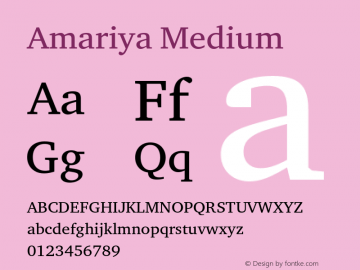 Amariya Medium Version 1.00, build 14, g2.4.2 b996, s3图片样张