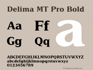 Delima MT Pro Bold Version 1.00 Build 1000图片样张