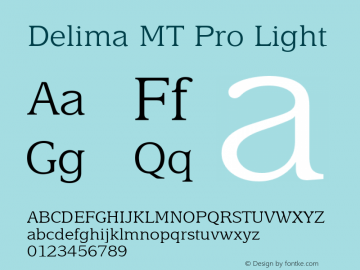 Delima MT Pro Light Version 1.00 Build 1000图片样张