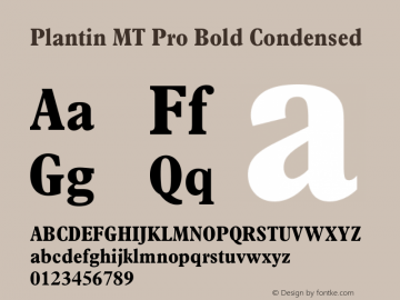 Plantin MT Pro Bold Condensed Version 1.10 Build 1000图片样张