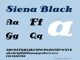 Siena Black Version 1.00图片样张