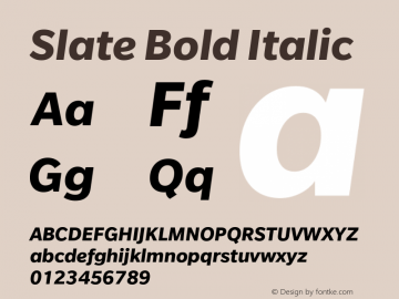 Slate Bold Italic Version 1.01, build 10, s3图片样张