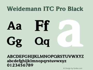 WeidemannITCPro-Black Version 1.000 Build 1000图片样张