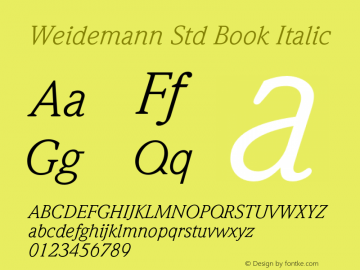 WeidemannStd-BookItalic Version 1.000 Build 1000图片样张