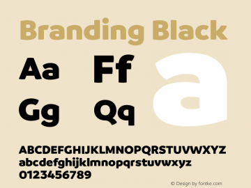 Branding-Black Version 1.000;PS 001.000;hotconv 1.0.88;makeotf.lib2.5.64775图片样张