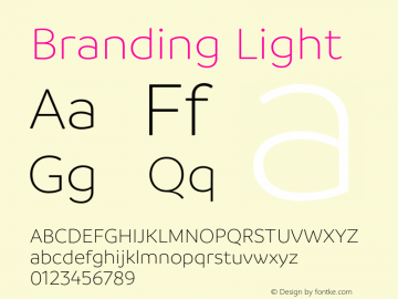 Branding-Light Version 1.000;PS 001.000;hotconv 1.0.88;makeotf.lib2.5.64775图片样张