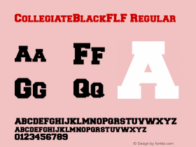 CollegiateBlackFLF Regular 001.000图片样张